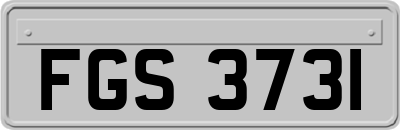 FGS3731