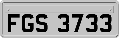 FGS3733
