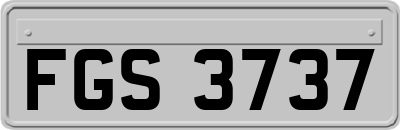 FGS3737