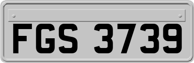 FGS3739