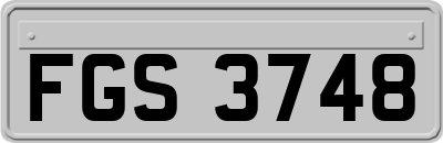 FGS3748