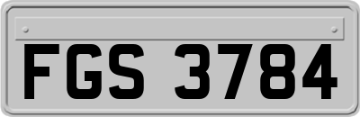 FGS3784