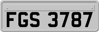 FGS3787