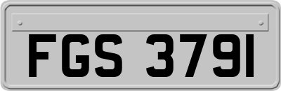 FGS3791