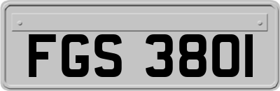 FGS3801