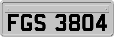 FGS3804