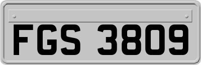 FGS3809