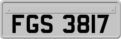 FGS3817