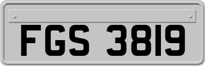 FGS3819