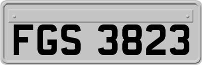 FGS3823