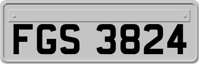 FGS3824