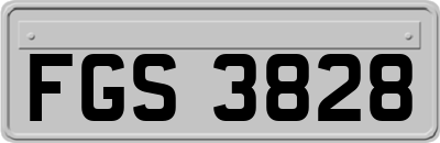 FGS3828
