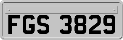 FGS3829