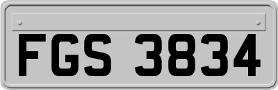 FGS3834