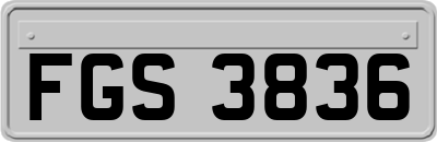 FGS3836