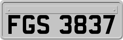 FGS3837