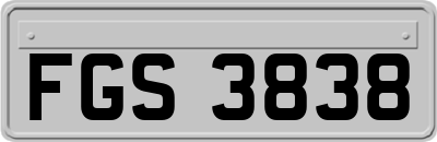 FGS3838