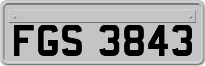 FGS3843