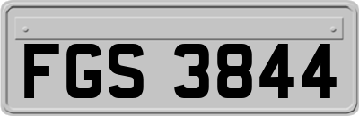 FGS3844