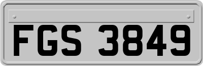 FGS3849