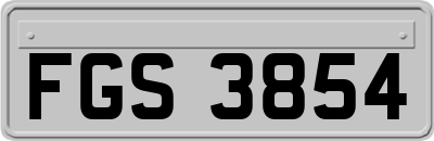 FGS3854