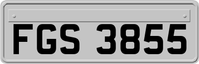 FGS3855