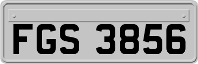 FGS3856