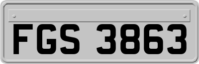 FGS3863