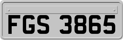 FGS3865