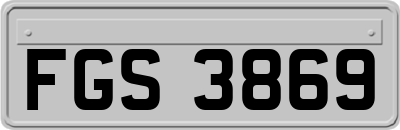FGS3869