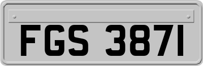 FGS3871