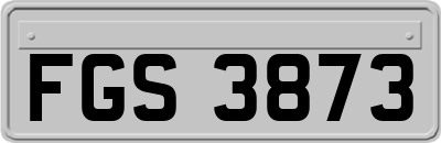 FGS3873
