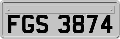 FGS3874