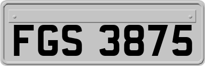 FGS3875
