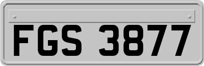 FGS3877
