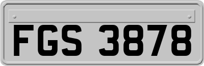 FGS3878