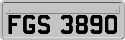 FGS3890
