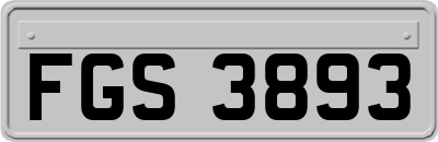 FGS3893
