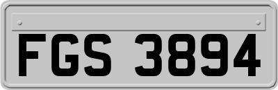 FGS3894