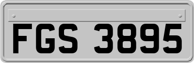 FGS3895