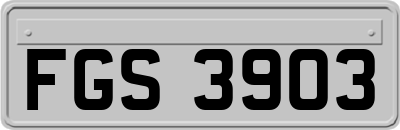 FGS3903