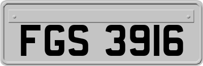 FGS3916