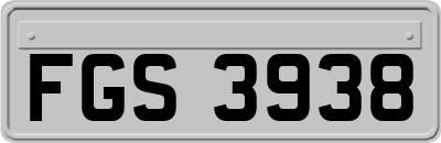FGS3938