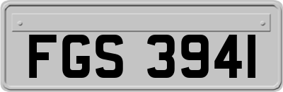FGS3941