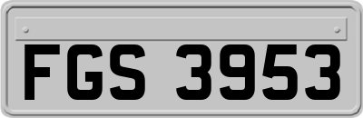 FGS3953