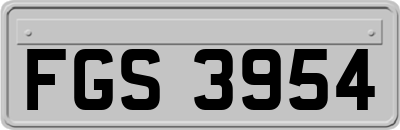 FGS3954