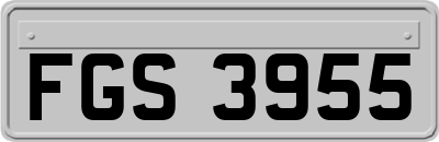 FGS3955
