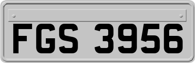 FGS3956