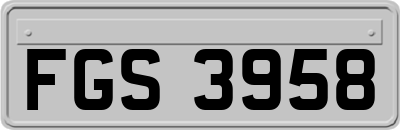 FGS3958