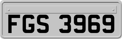 FGS3969